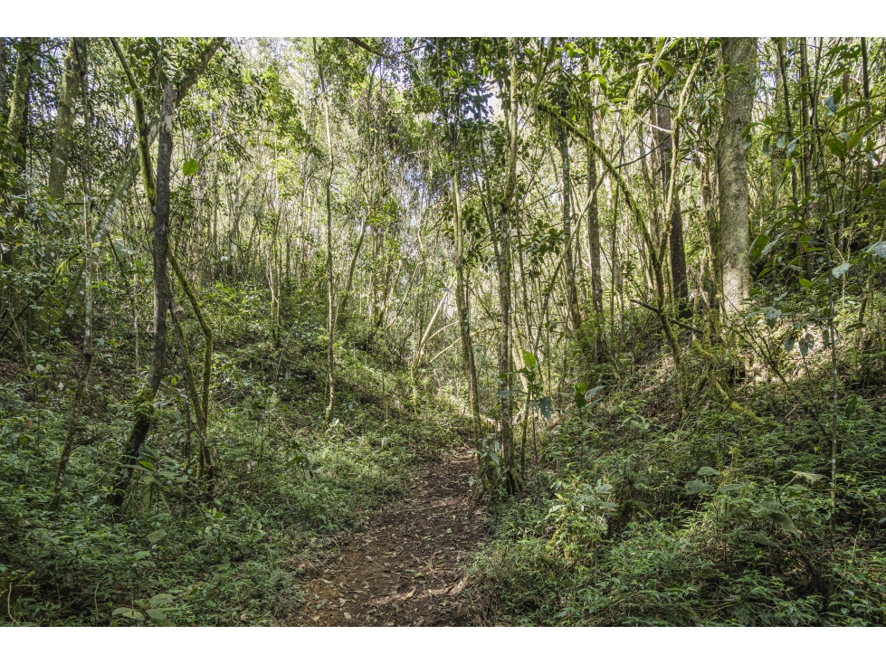 Lotes Campestres para la venta en El Retiro, Vereda Lejos del Nido — foto 5