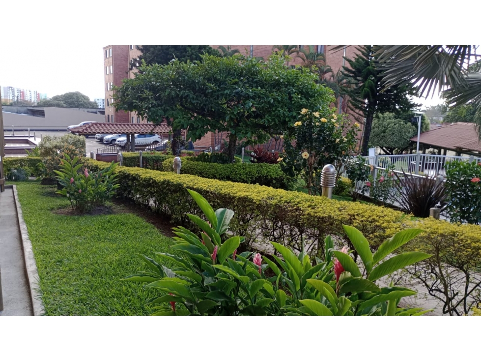 SE VENDE HERMOSO APARTAMENTO SECTOR COLISEO DEL CAFE — foto 3