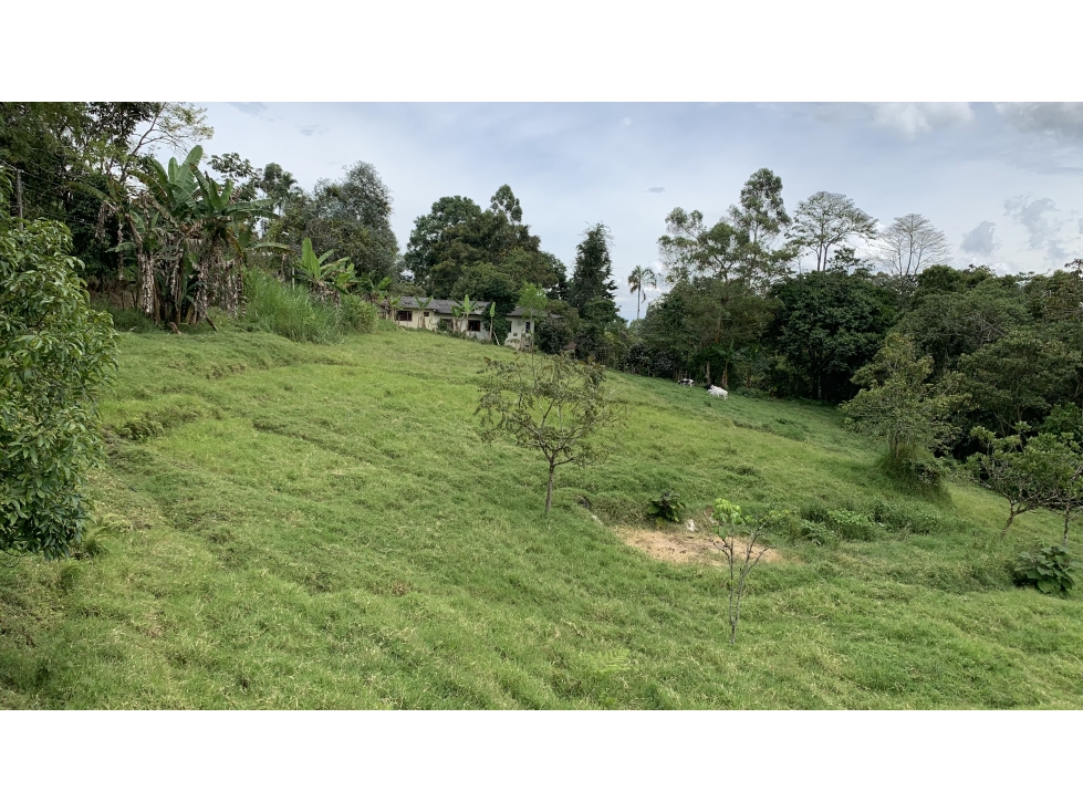 SE VENDE LOTE EN LA VÍA ARMENIA PEREIRA EN CONJUNTO CERRADO - 3