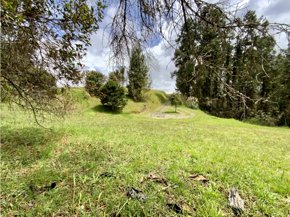Venta Lote Inmerso en Bosque Parcelacion Alto Palmas