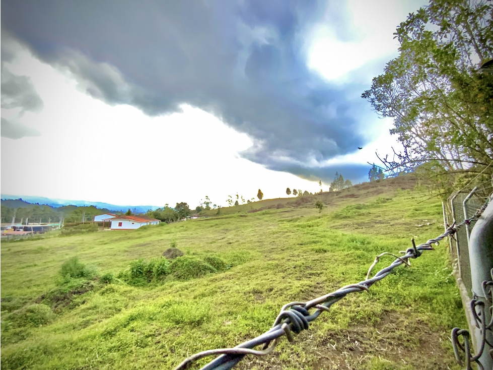 Venta Lote Industrial Guarne Para Bodega Autopista Medellin Bogota — foto 2