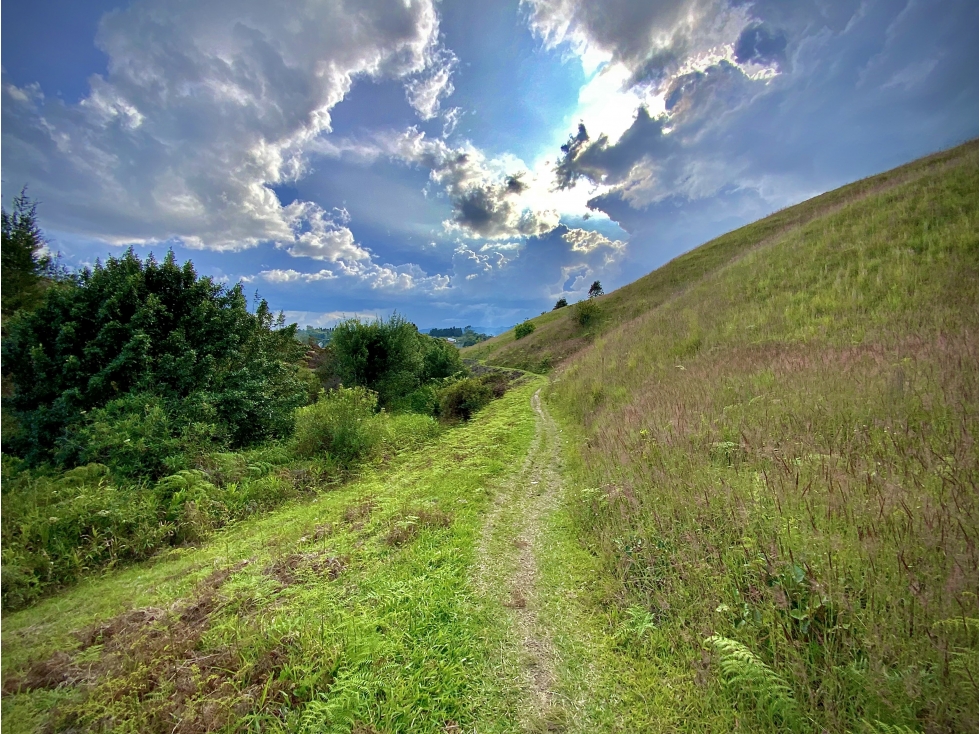 Venta Lote Industrial Guarne Para Bodega Autopista Medellin Bogota — foto 3