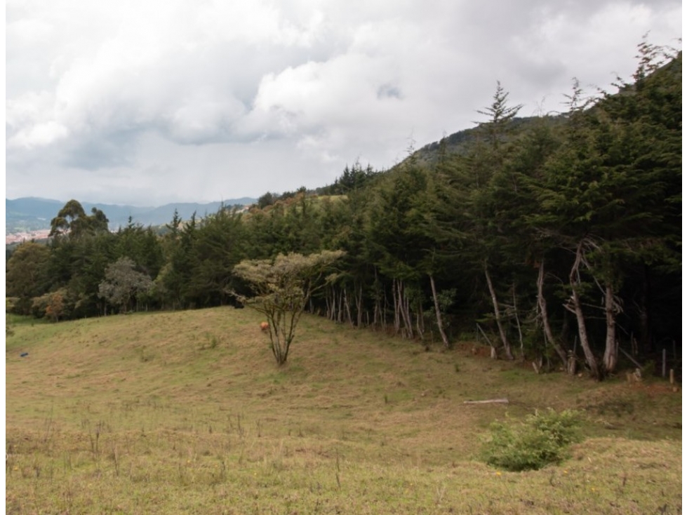 Lote Independiente Sector Chaparral - 2