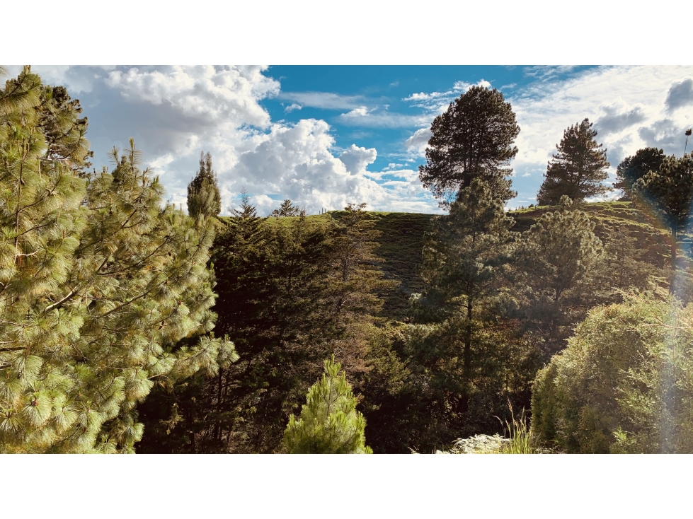 Lote Parcelacion El Retiro Bosque y Quebrada — foto 5