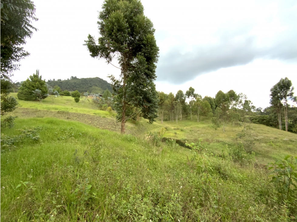 Venta Lote Parcelacion Via San Antonio La Ceja