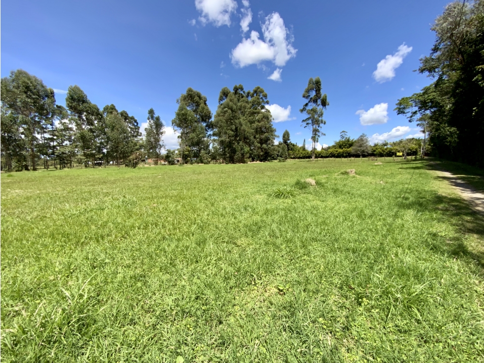 Venta Lote 100% Plano Uso Comercial Llanogrande