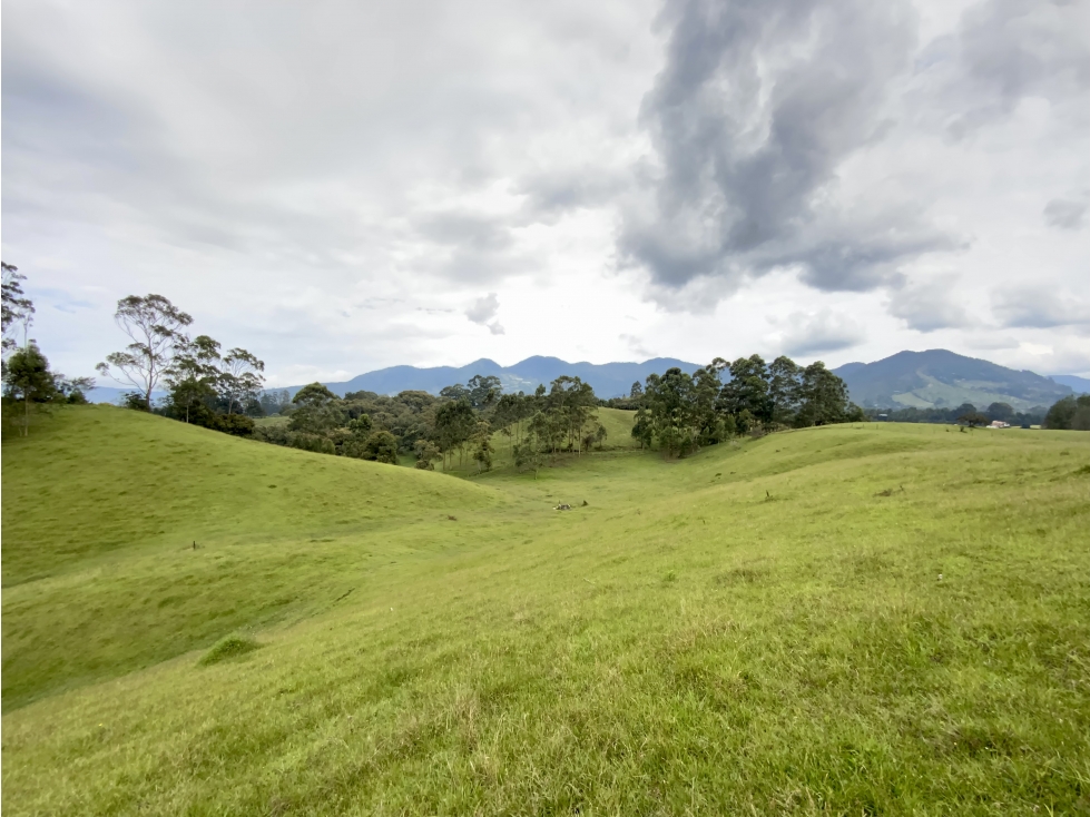 Venta Lote Parcelar Via San Antonio La Ceja