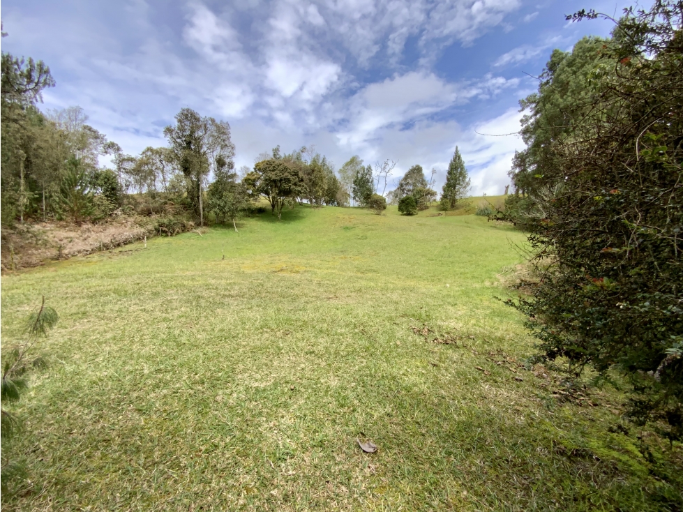 Venta Lote Inmerso en Bosque Parcelacion Alto Palmas — foto 3