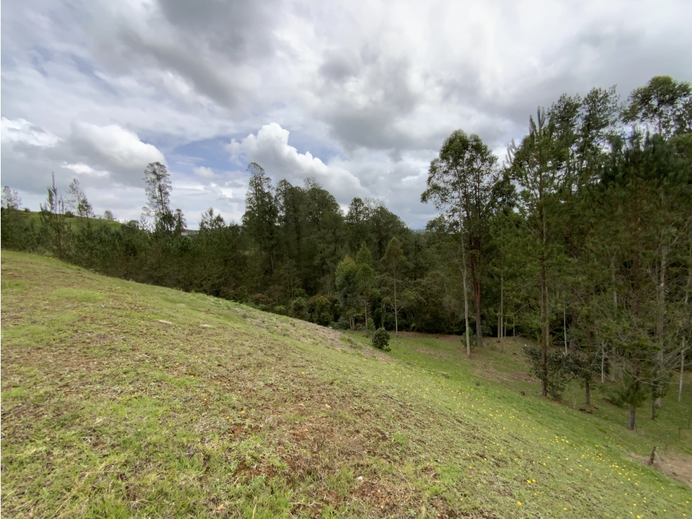 Venta Espectacular Lote Vista Verde y Privacidad Parcelacion El Retiro — foto 5