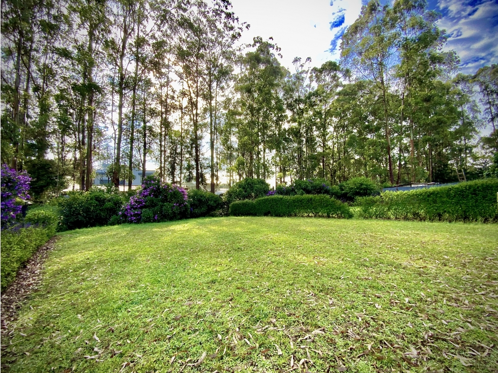 Venta Lote Bosque y Quebrada Parcelación Llanogrande