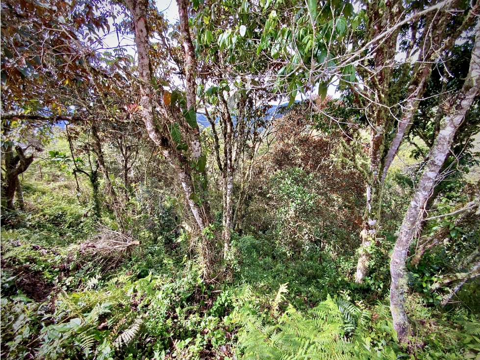 Venta Lote Exotica Vista Represa Parcelacion El Retiro — foto 3
