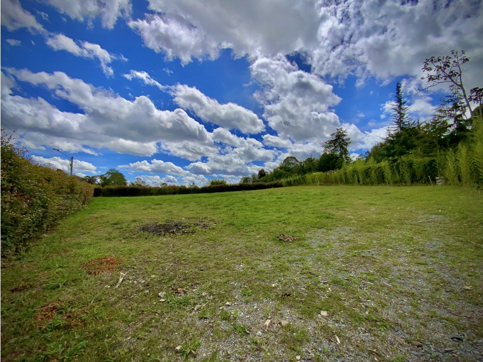 Venta Lote Independiente 100% Plano acceso pavimentado La Ceja