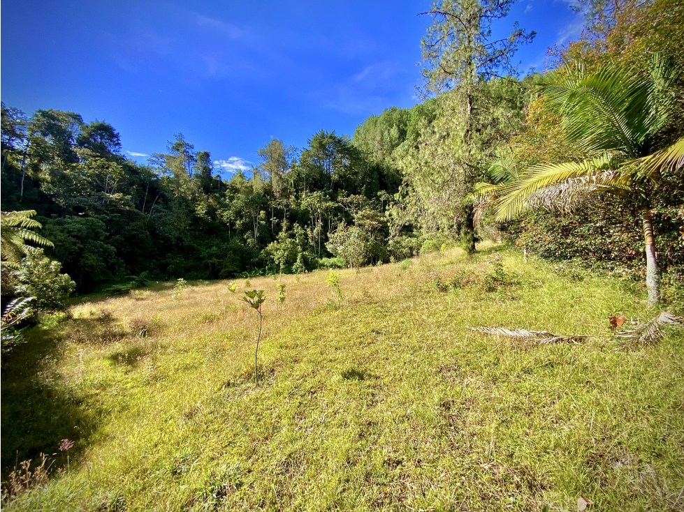 Venta Lote Parcelacion El Retiro