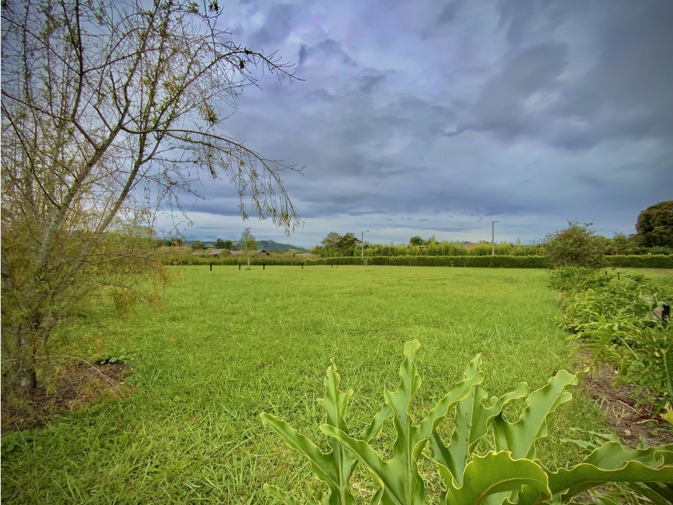 Venta Lote Parcelación Milla de Oro Llanogrande - 1