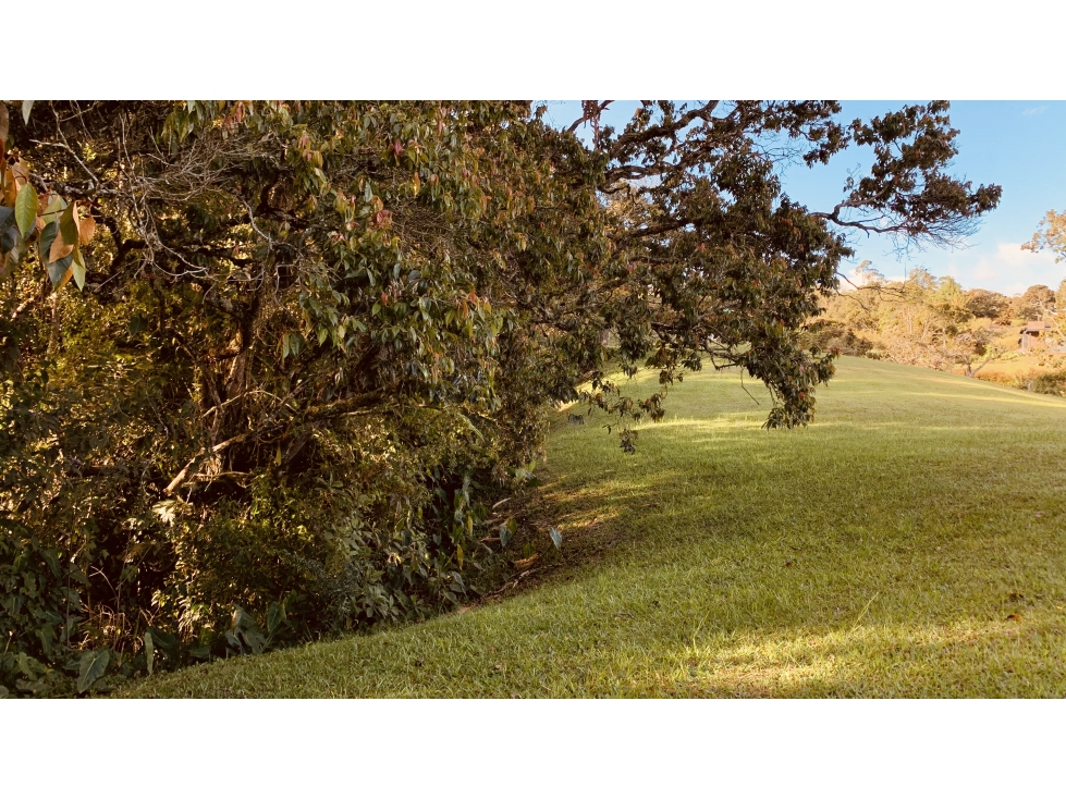 Vende Lote con Bosque Nativo y Quebrada Parcelacion La Ceja — foto 4