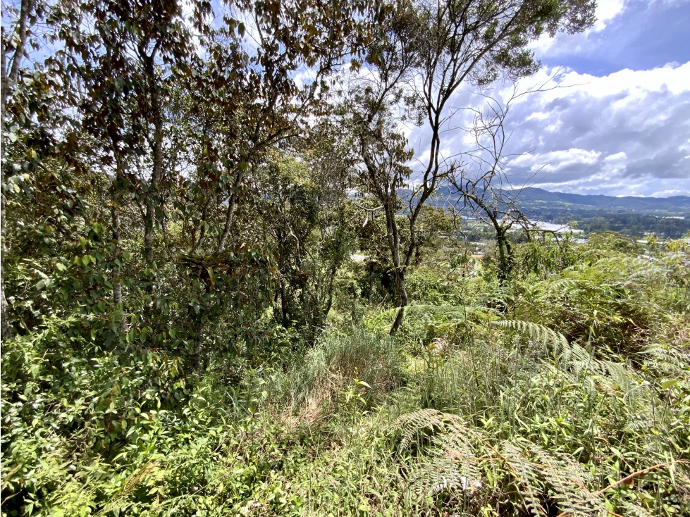 Venta Lote Parcelacion Via San Antonio La Ceja - 4