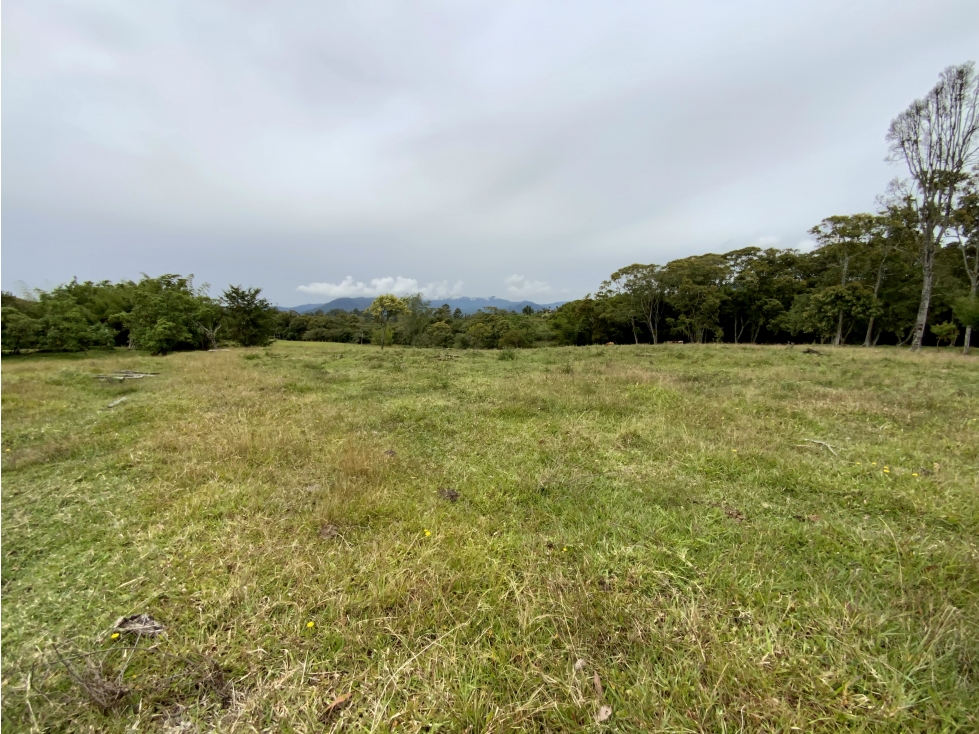 Venta Espectacular 2 aguas Lote Plano Parcelar 5 minutos Llanogrande — foto 5