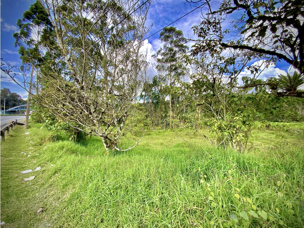 Venta Lote Industrial Guarne Para Bodega Autopista Medellin Bogota — foto 3
