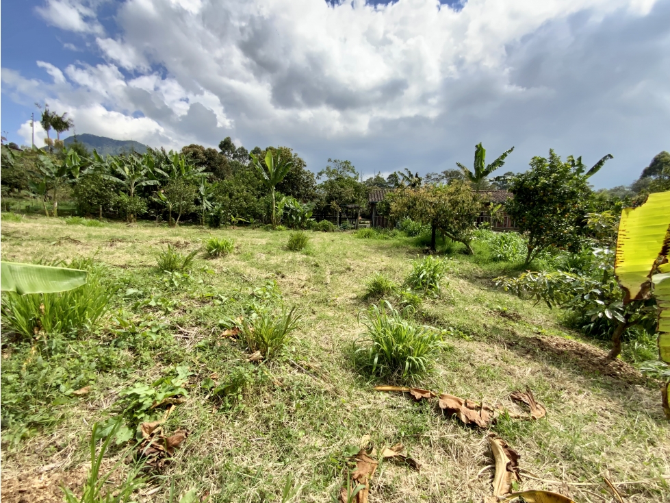 Venta Lote Independiente 100% Plano Via La Ceja La Union