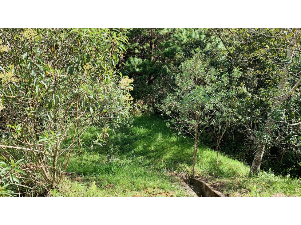 Lote Parcelacion El Retiro Bosque y Quebrada — foto 4