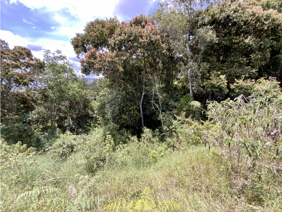Venta Lote Parcelacion Via San Antonio La Ceja - 6