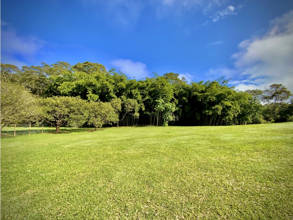 Venta Lote PLANO Parcelacion Llanogrande
