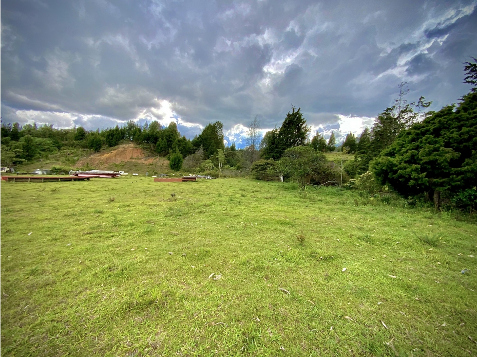 Venta Lote Industrial Guarne Para Bodega Autopista Medellin Bogota