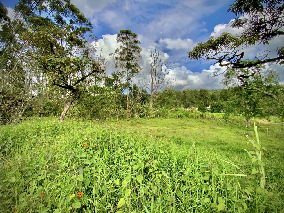 Venta Lote Industrial Guarne Para Bodega Autopista Medellin Bogota — foto 6