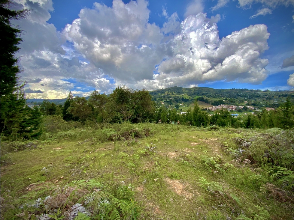 Venta Lote Industrial Guarne Para Bodega Autopista Medellin Bogota — foto 6