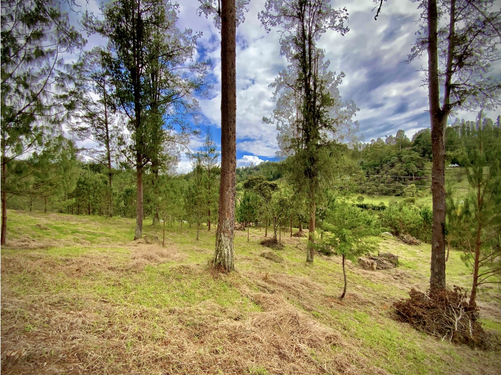 Venta Lote Vista y Paisajismo Parcelacion El Retiro — foto 4