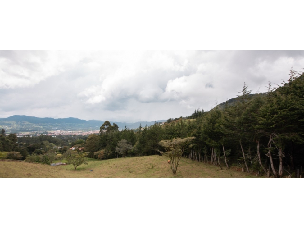 Lote Independiente Sector Chaparral - 3