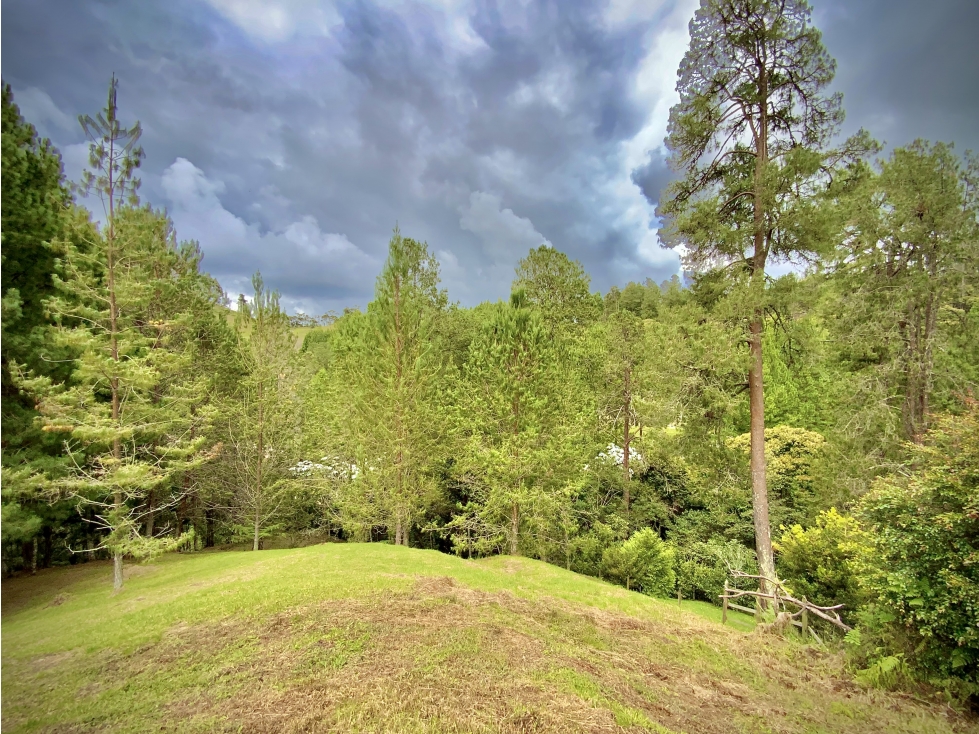 Venta Lote Bosque Vista Parcelacion El Retiro — foto 2