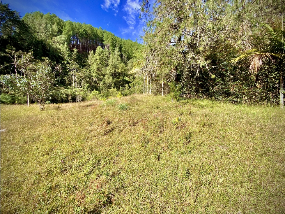 Venta Lote Parcelacion El Retiro — foto 2