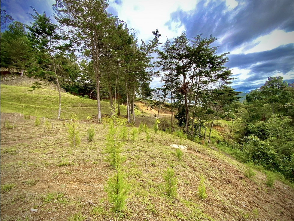 Venta Espectacular Lote Quebrada Lindero Parcelacion El Retiro — foto 6