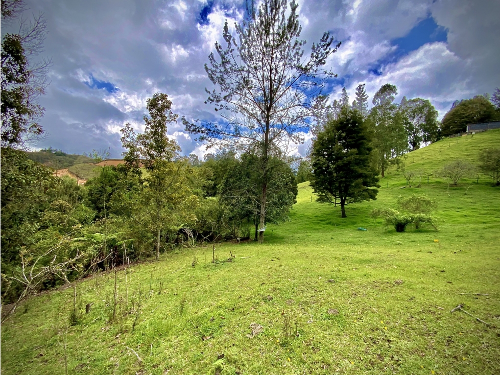 Venta Lote Parcelar agua propia BUENA SEGURIDAD Via Don Diego La Ceja — foto 5