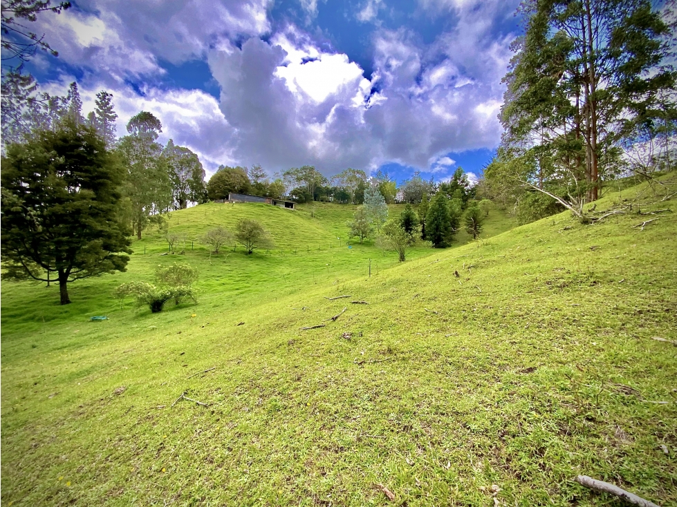Venta Lote Parcelar agua propia BUENA SEGURIDAD Via Don Diego La Ceja