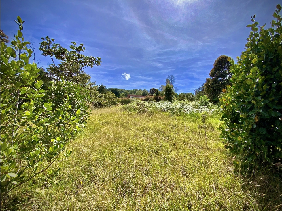 Venta Lote Independiente Medellin Santa Elena — foto 6
