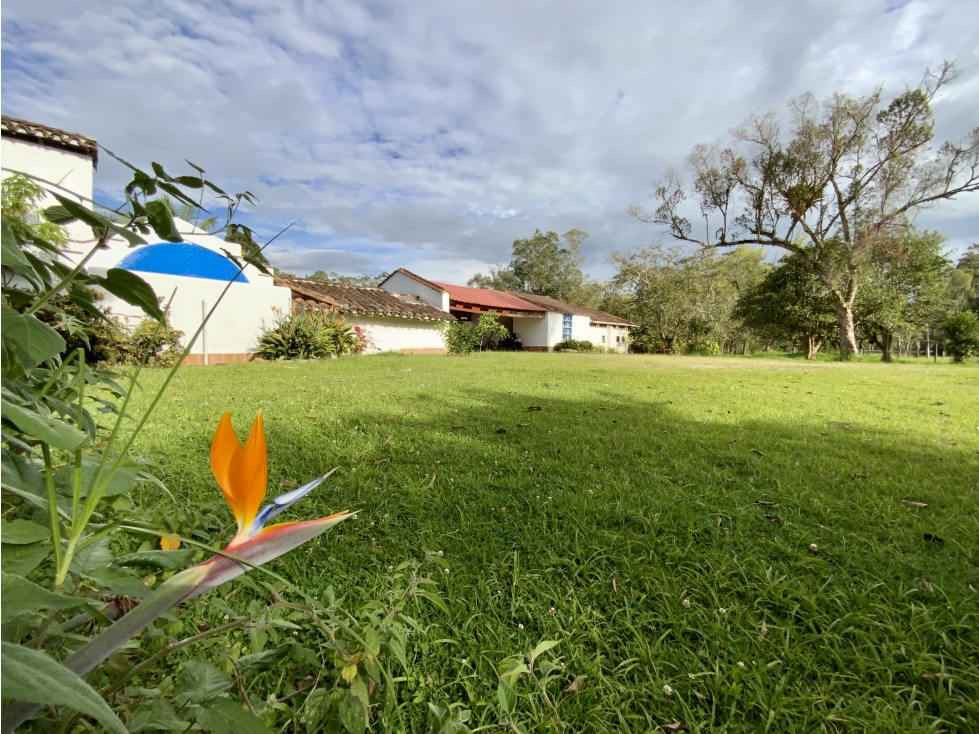 Venta Finca Parcelacion Llanogrande Sector La Amalita — foto 4