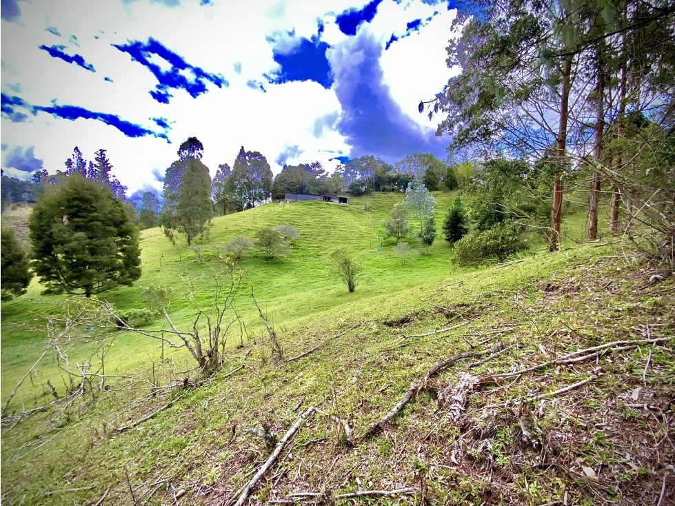 Venta Lote Parcelar agua propia BUENA SEGURIDAD Via Don Diego La Ceja — foto 6