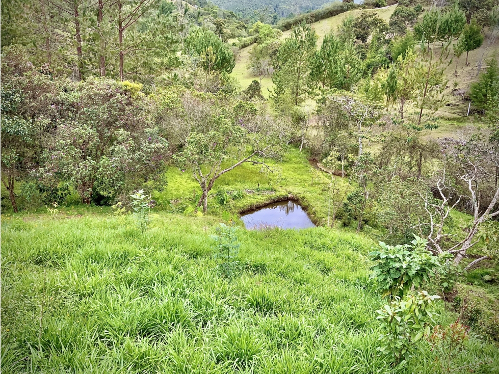 Venta hermoso Lote Lago 100% Aprovechable Vista Parcelacion El Retiro — foto 3