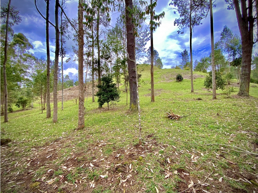 Venta Espectacular Lote Vista Verde y Privacidad Parcelacion El Retiro — foto 3