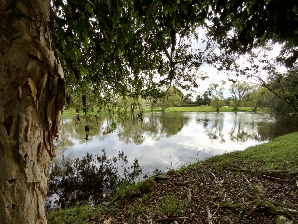 Venta Finca Parcelacion Llanogrande Sector La Amalita — foto 3
