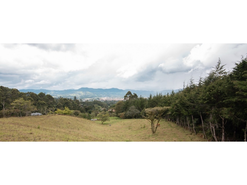 Lote Independiente Sector Chaparral