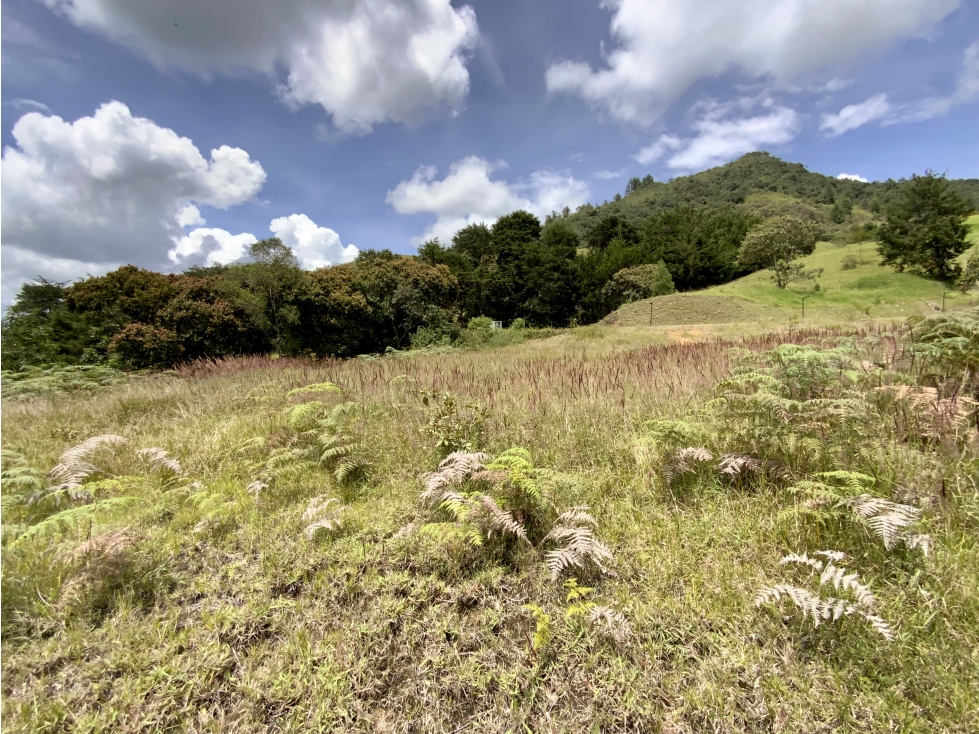 Venta Lote Parcelacion Via San Antonio La Ceja - 5