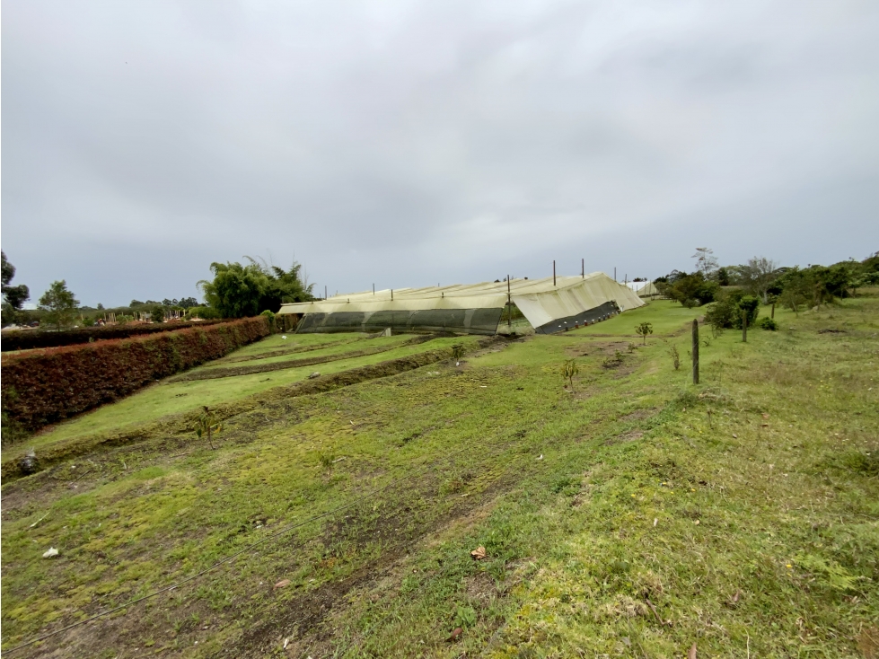 Venta Espectacular 2 aguas Lote Plano Parcelar 5 minutos Llanogrande — foto 4