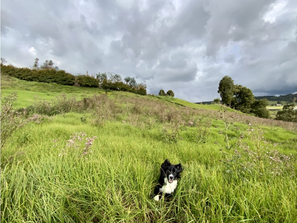 Venta Lote Parcelacion Alto Palmas Envigado