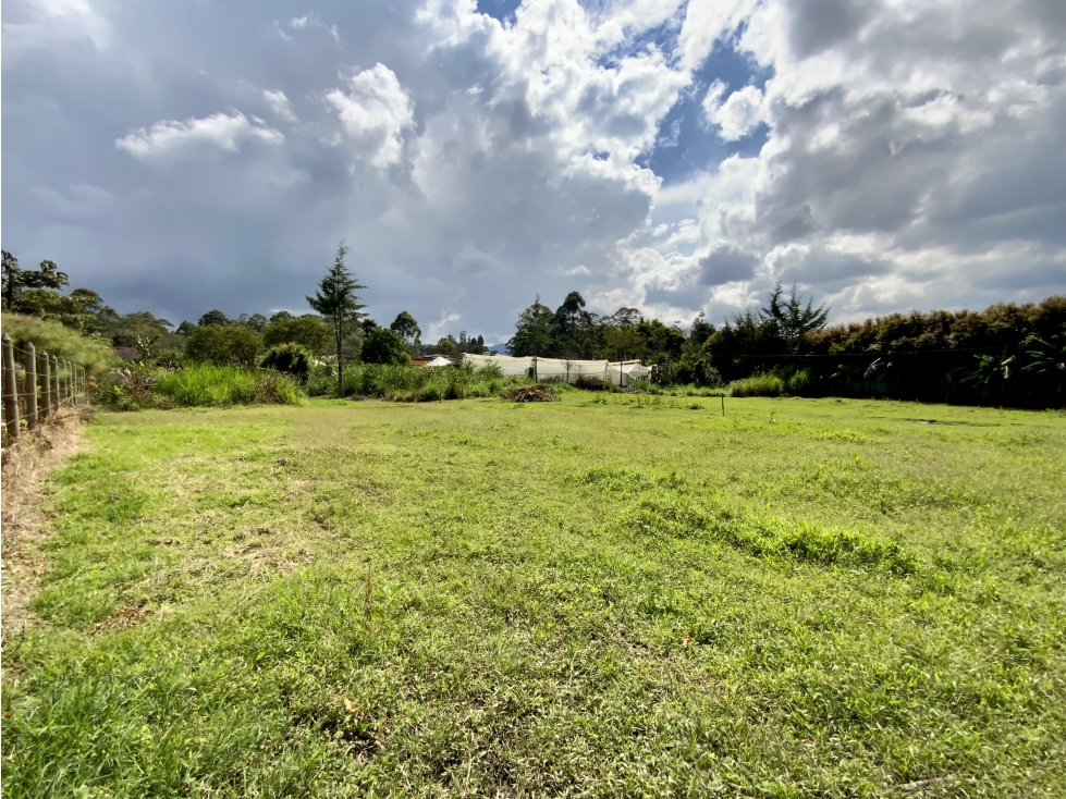 Venta Lote 100% Plano Independiente Via La Ceja La Union
