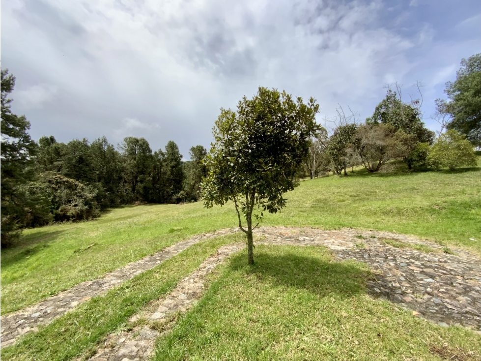 Venta Lote Inmerso en Bosque Parcelacion Alto Palmas — foto 4