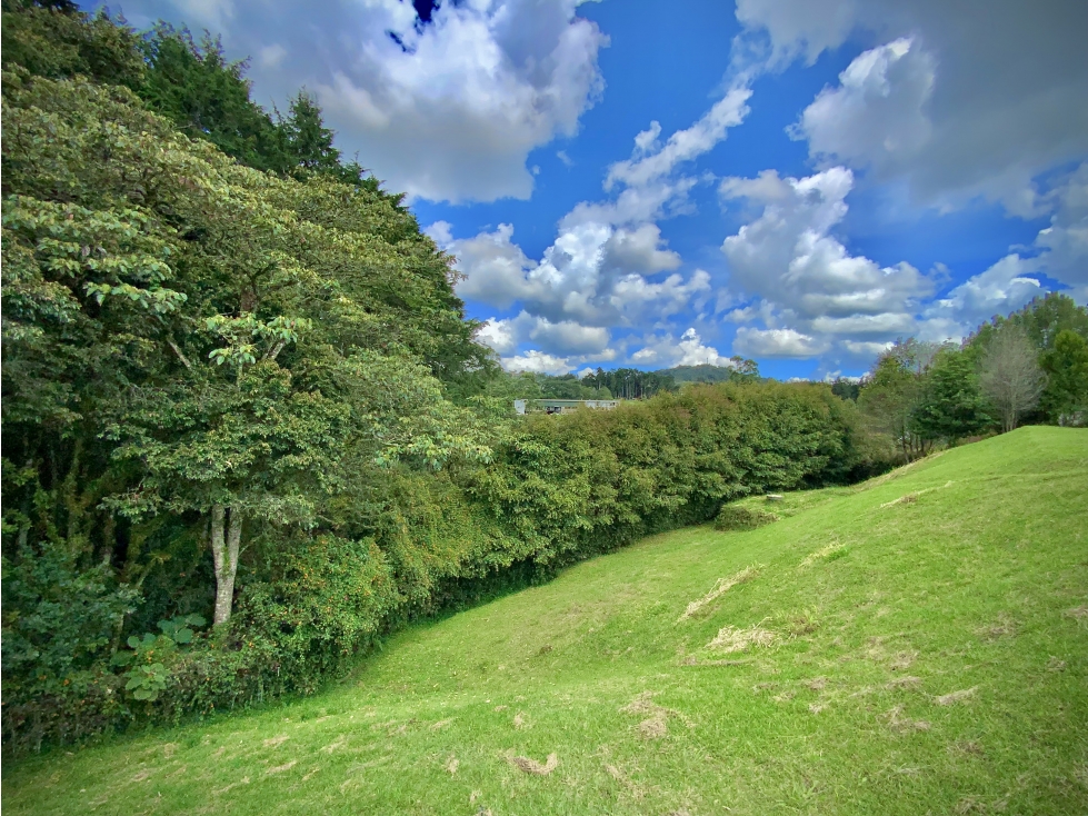 Venta Lote Vista Bosque Parcelacion Alto Palmas — foto 6
