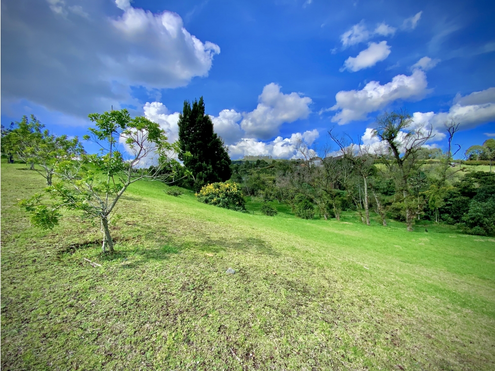 Venta Lote Parcelacion Alto Palmas — foto 3
